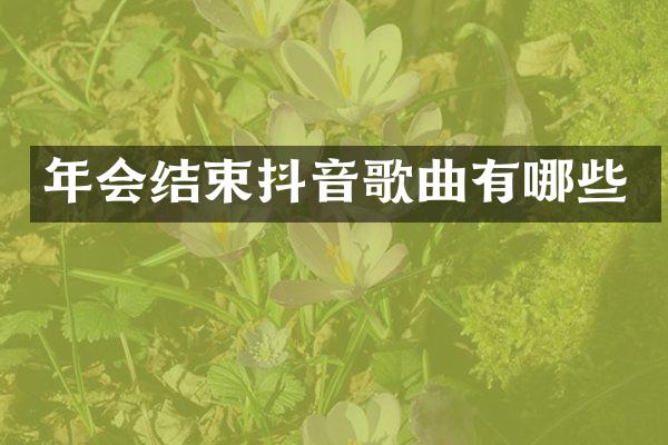 年会结束抖音歌曲有哪些