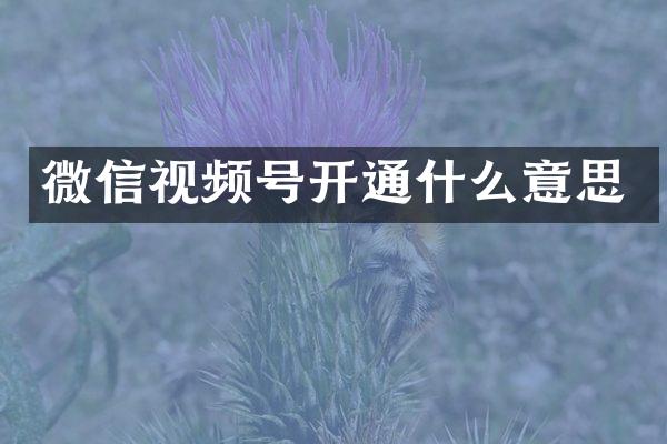 微信视频号开通什么意思
