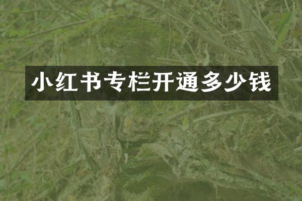 小红书专栏开通多少钱