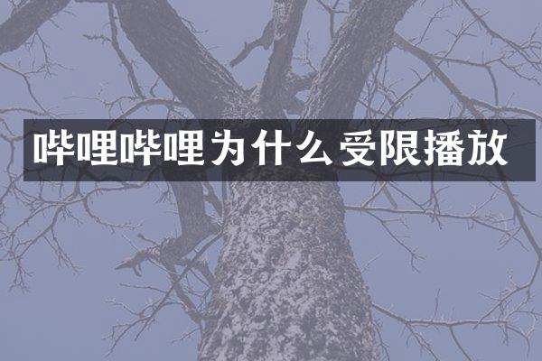 哔哩哔哩为什么受限播放