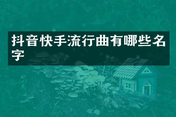 抖音快手流行曲有哪些名字