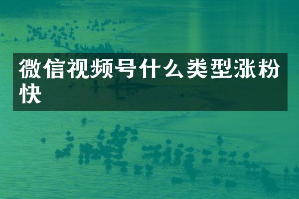 微信视频号什么类型涨粉快