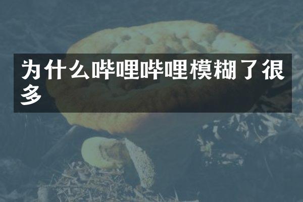 为什么哔哩哔哩模糊了很多