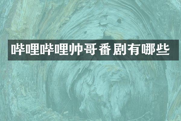 哔哩哔哩帅哥番剧有哪些