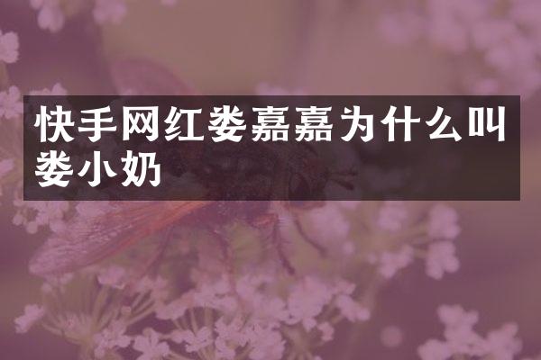 快手网红娄嘉嘉为什么叫娄小奶