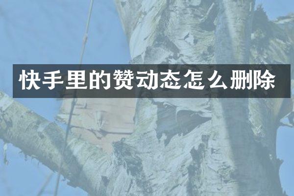 快手里的赞动态怎么删除