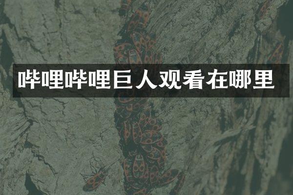 哔哩哔哩巨人观看在哪里