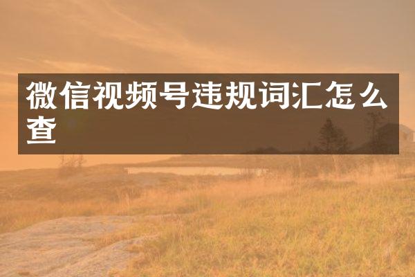 微信视频号违规词汇怎么查