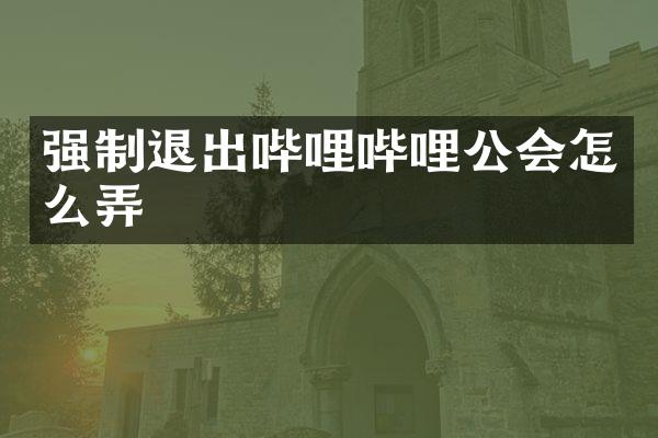 强制退出哔哩哔哩公会怎么弄