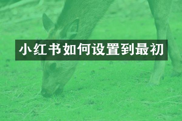 小红书如何设置到最初