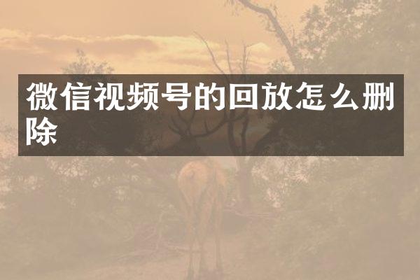 微信视频号的回放怎么删除