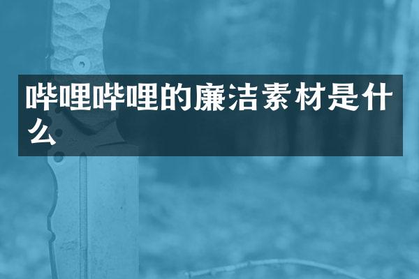 哔哩哔哩的廉洁素材是什么