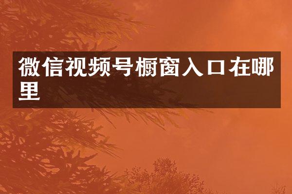 微信视频号橱窗入口在哪里