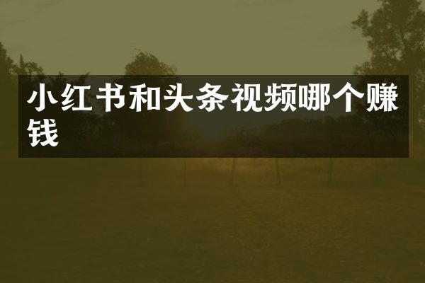 小红书和头条视频哪个赚钱