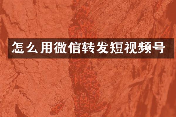 怎么用微信转发短视频号