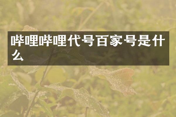 哔哩哔哩代号百家号是什么