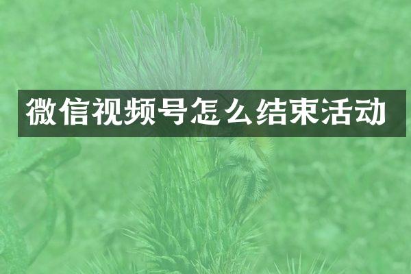 微信视频号怎么结束活动