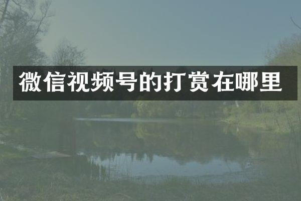 微信视频号的打赏在哪里