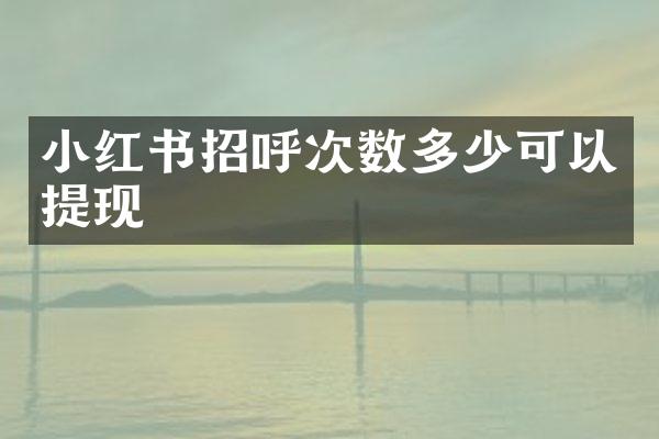 小红书招呼次数多少可以提现