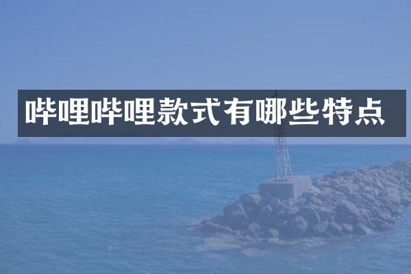 哔哩哔哩款式有哪些特点
