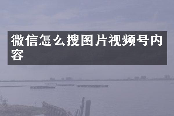 微信怎么搜图片视频号内容