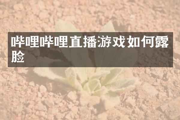 哔哩哔哩直播游戏如何露脸