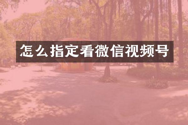怎么指定看微信视频号