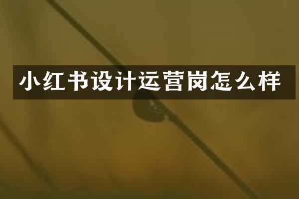 小红书设计运营岗怎么样