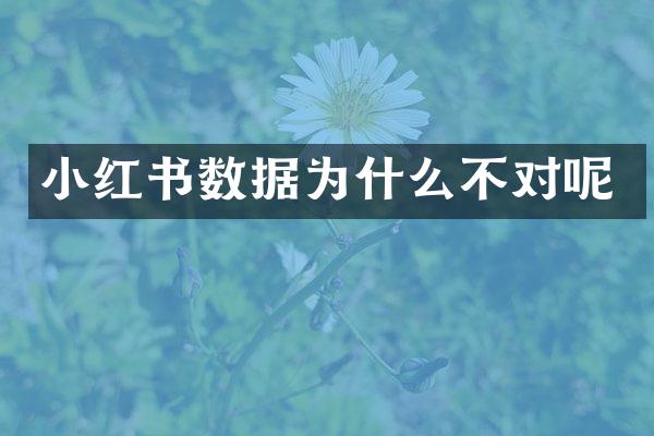 小红书数据为什么不对呢