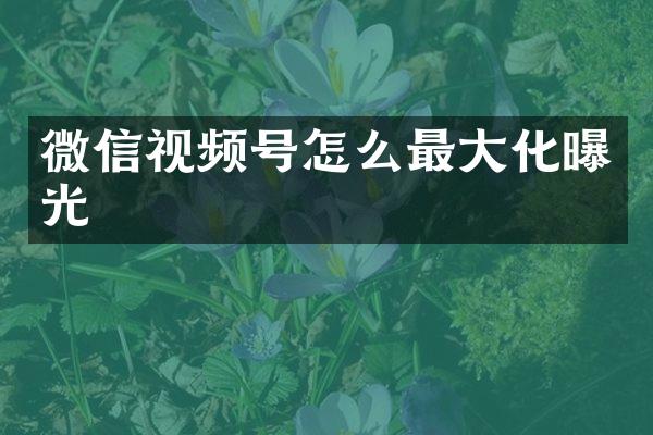 微信视频号怎么最大化曝光