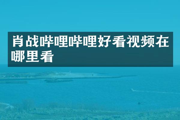 肖战哔哩哔哩好看视频在哪里看