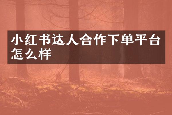 小红书达人合作下单平台怎么样