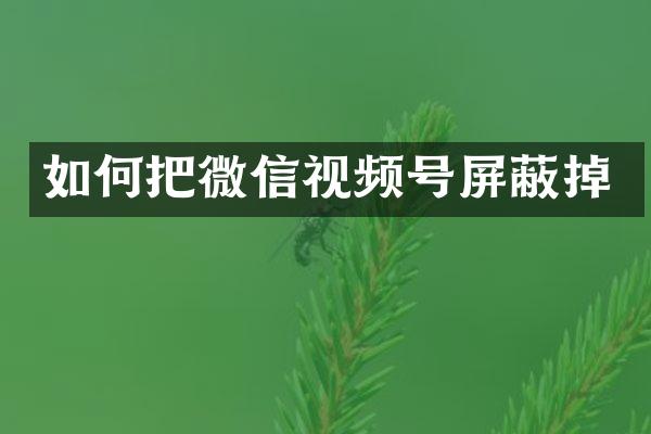 如何把微信视频号屏蔽掉