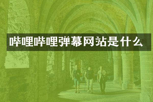 哔哩哔哩弹幕网站是什么