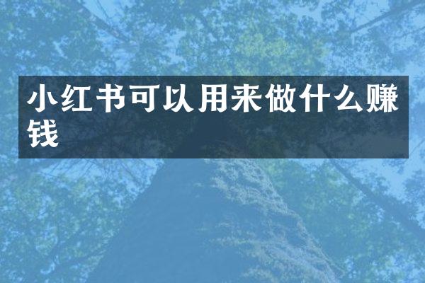 小红书可以用来做什么赚钱