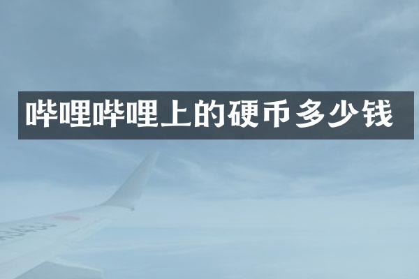 哔哩哔哩上的硬币多少钱