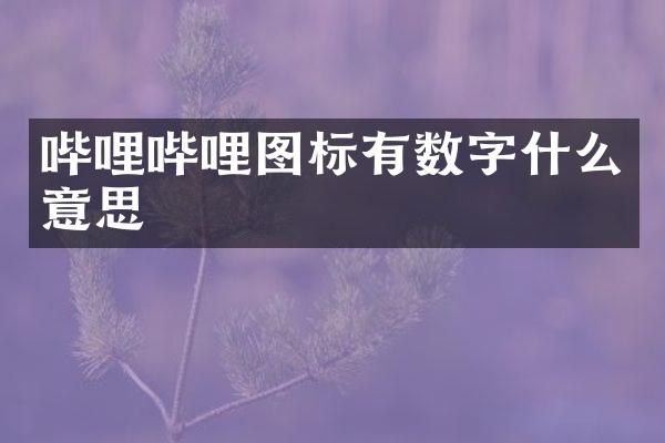 哔哩哔哩图标有数字什么意思