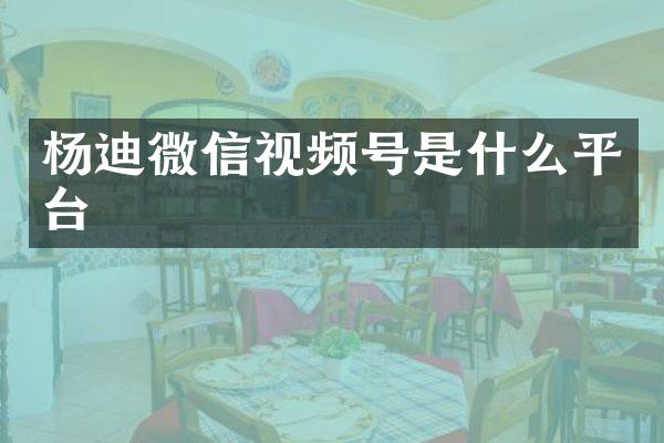 杨迪微信视频号是什么平台