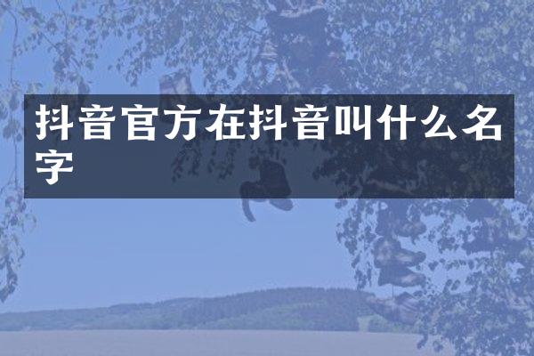 抖音官方在抖音叫什么名字