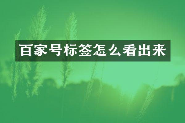 百家号标签怎么看出来
