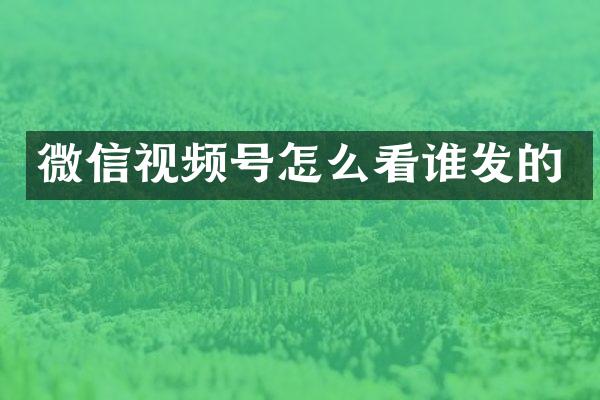 微信视频号怎么看谁发的