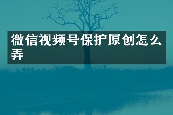 微信视频号保护原创怎么弄