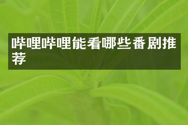 哔哩哔哩能看哪些番剧推荐