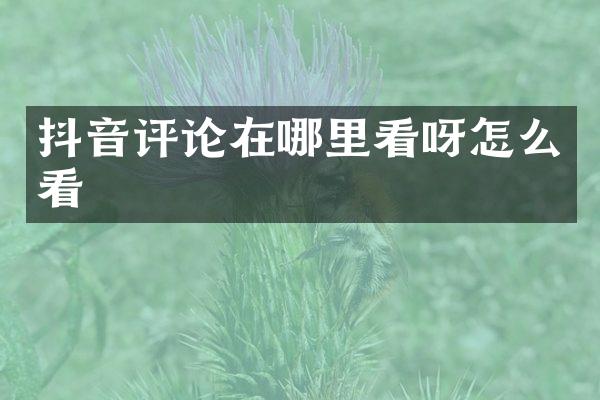 抖音评论在哪里看呀怎么看