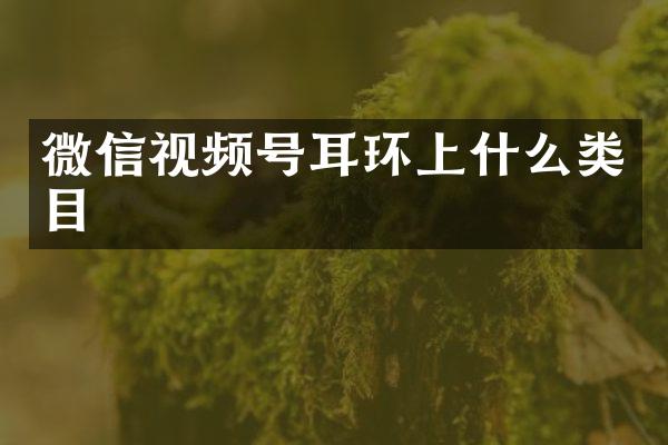 微信视频号耳环上什么类目