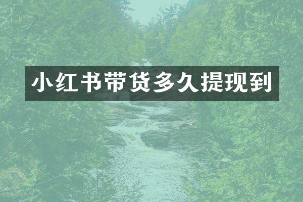 小红书带货多久提现到