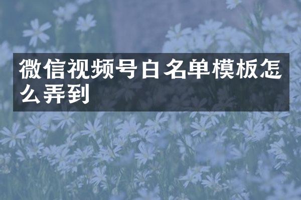 微信视频号白名单模板怎么弄到