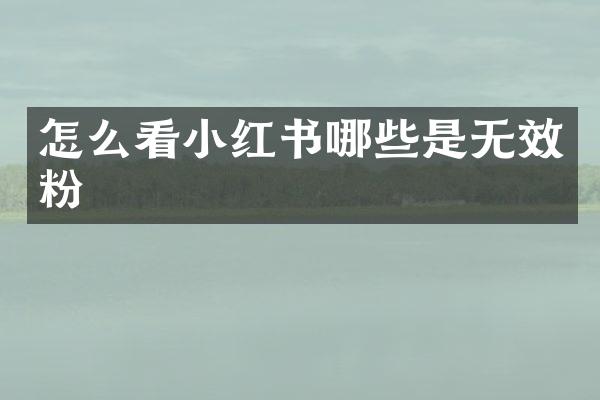 怎么看小红书哪些是无效粉