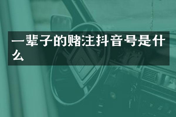 一辈子的赌注抖音号是什么
