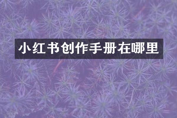小红书创作手册在哪里